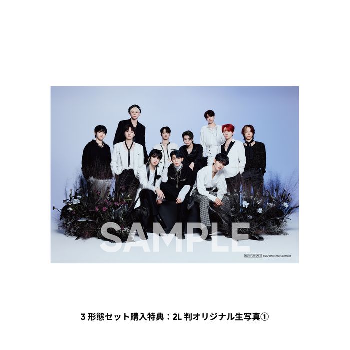  『MATCH UP』【3形態セット】(RED Ver.+BLUE Ver.+GREEN Ver.)